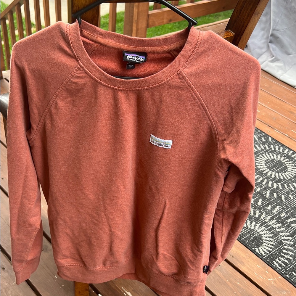 Patagonia Women's Brick Red Crew Neck Sweater. Back has some pen stains.